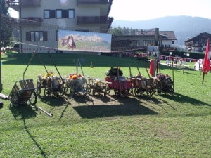 bovaro del bernese raduno grabber folgaria 2016 9